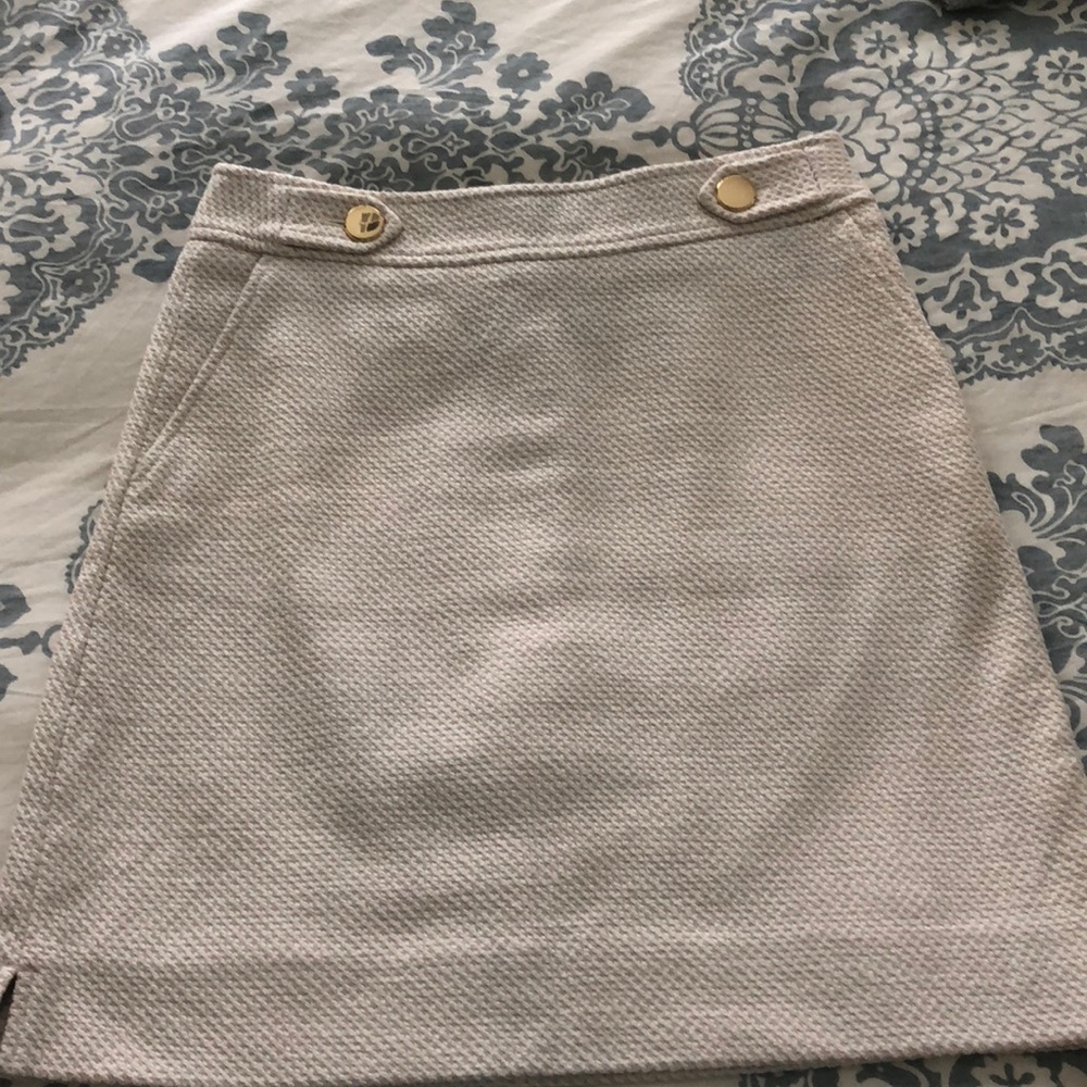 Ann Taylor skirt